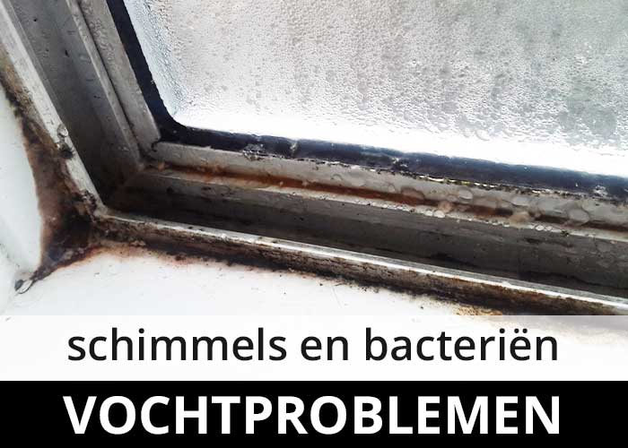 vochtproblemen condensatie - schimmels bacterien